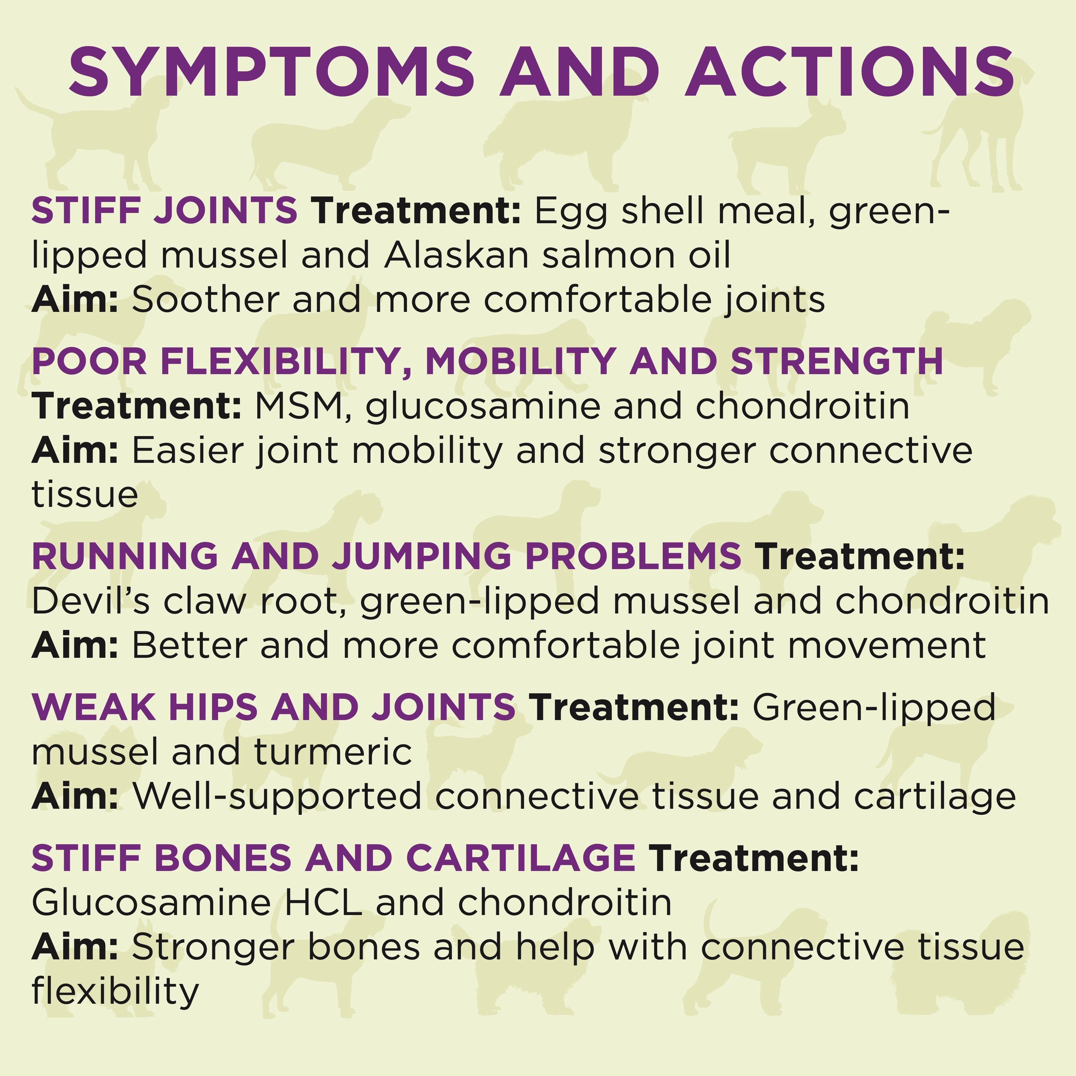 Joint Supplement for Dogs – 120 Soft Chews for Hip & Joint Support | BestBark